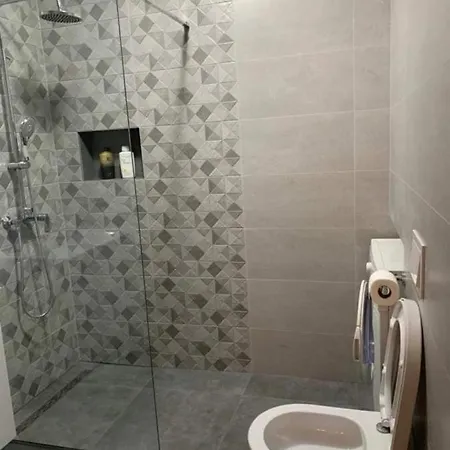 Apartment Radic *
