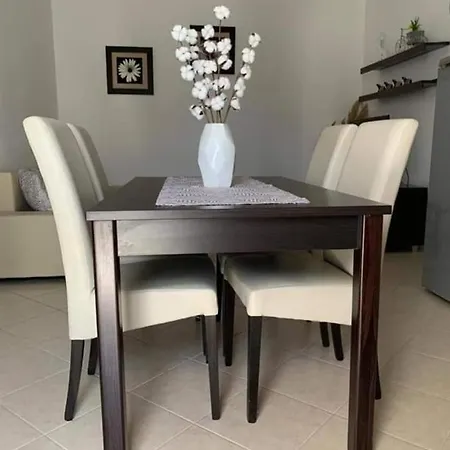 Apartment Radic *